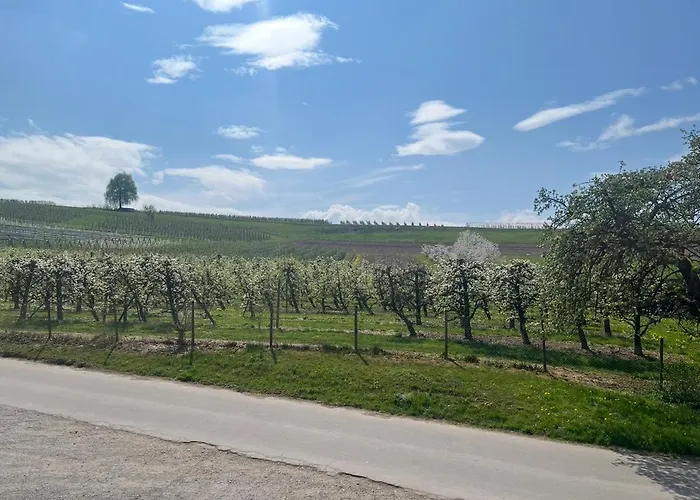 Am Taubenberg アパート